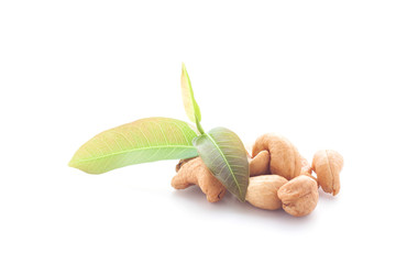 Cashew nuts with leaves on white background.