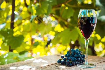 Glass with red wine on the wooden table. Shallow depth of field. Toned image.