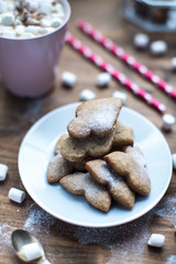 spicy ginger cookies covered with powdered sugar on window sill