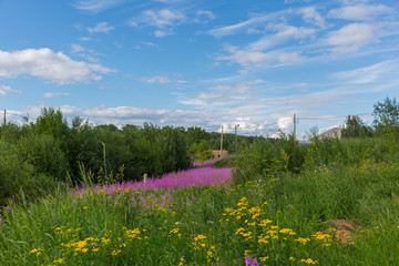 Russian nord Kandalaksha