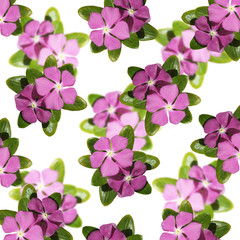 Beautiful floral background with lilac flowers 