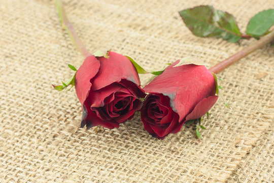 Romantic red roses on sackcloth vintage background.