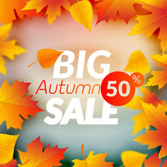 Fototapeta na wymiar Big autumn sale design template poster. Fall promotional flyer. Autumn 50 percents off discount offer design with leaves