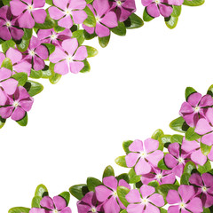 Fototapeta na wymiar Beautiful floral background with lilac flowers 