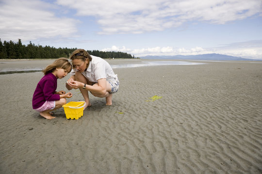 Young mother with 5-year old daughter, collect shells on beach at low tide, Parksville, British Columbia, Canada.