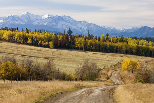 Fall Colours and the Coast Mountains near Clinton, british columbia, canada.