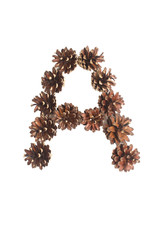 A letter made of pine cone