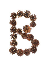 B letter made of pine cone