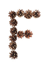 F letter made of pine cone