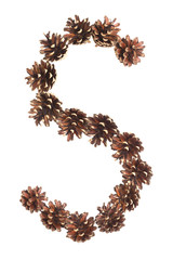 S letter made of pine cone