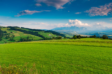 Górska łąka  - obrazy, fototapety, plakaty