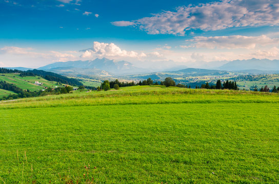 Fototapeta Górska łąka 