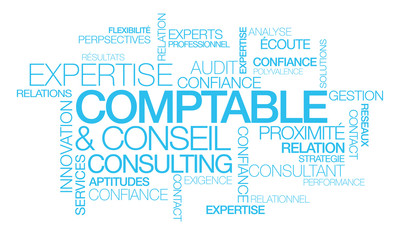 Fototapeta premium Expertise Comptable conseil consulting nuagede mots bleu texte consultant audit expert comptabilité