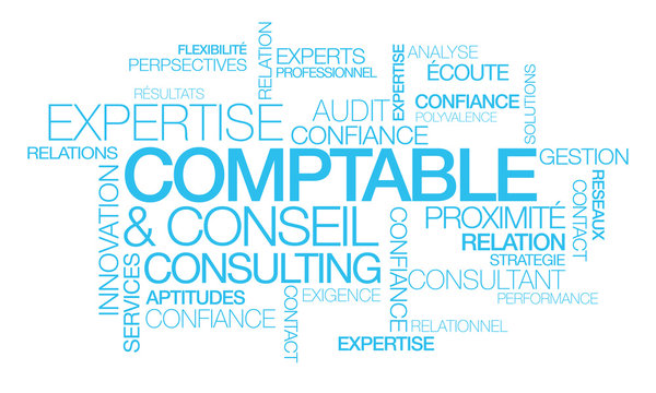 Expertise Comptable conseil consulting nuagede mots bleu texte consultant audit expert comptabilit&eacute;