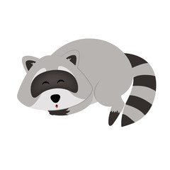 Sleeping raccoon. Adorable vector raccoon. Cute cartoon pet. Isolated vector on white background. 