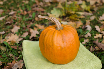 Pampkins with fall leaves