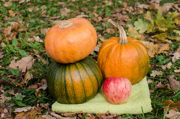 Pampkins with fall leaves