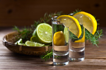 Gin with lemon and sprigs of juniper