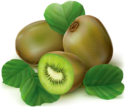 Kiwi fruit sliced