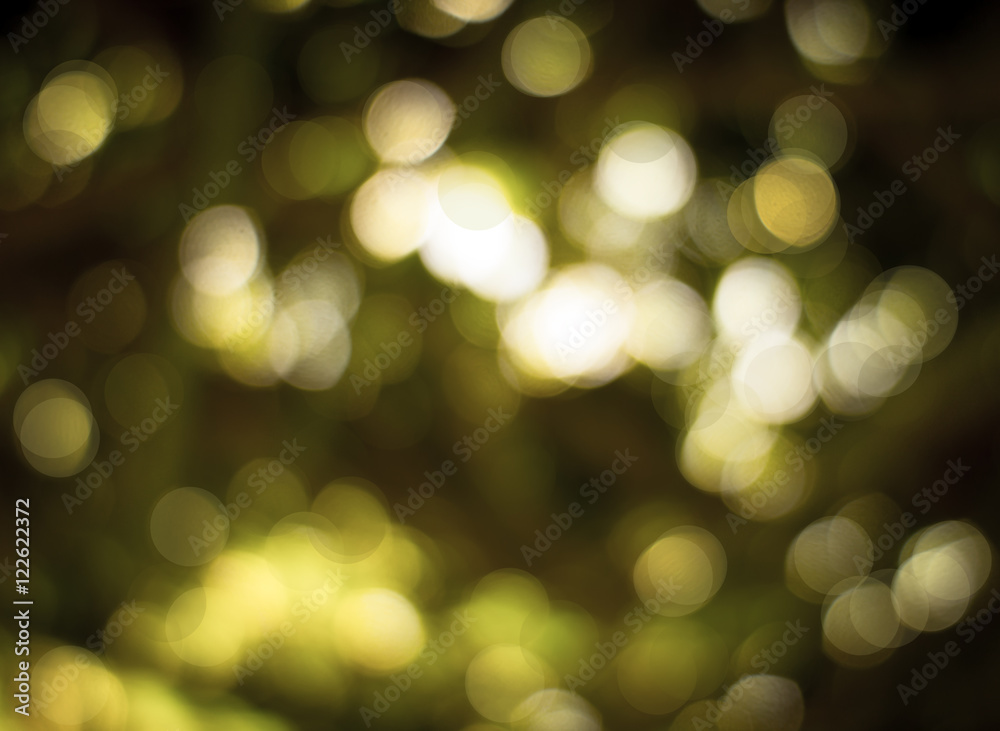 Canvas Prints green natural bokeh background, bokeh from tree and light at nig