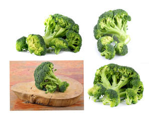 Broccoli isolated on a over white background
