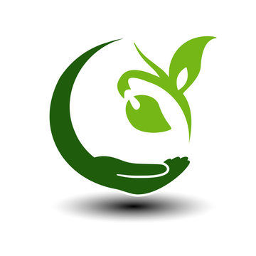 Vector symbol of green energy.  Circular natural element. Hand and plant with leaf. Nature icon.