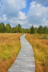 Wood path through the peat bog