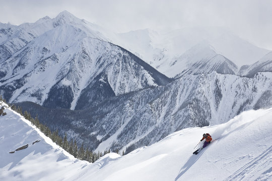 Young man skiing in Super Bowl, Kicking Horse Mountain Resort, British Columbia, Canada.