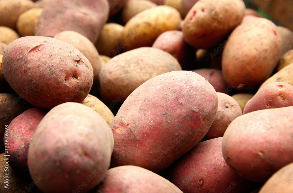 Wall mural  potatoes