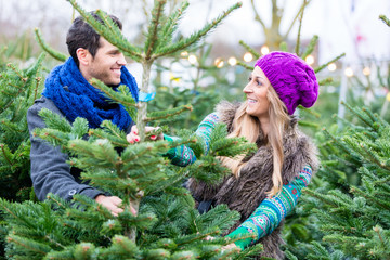 Frau und Mann kaufen Weihnachtsbaum auf Markt