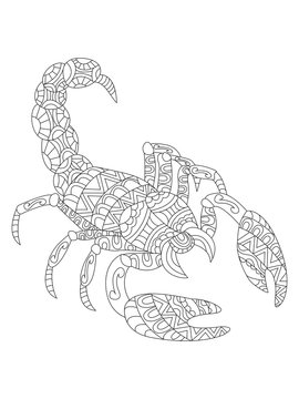 Scorpion coloring vector for adults