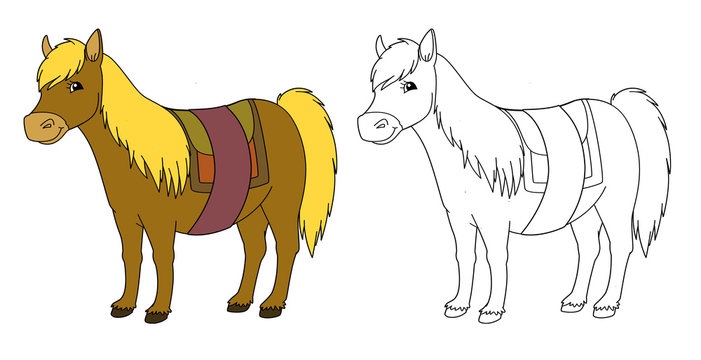 Cartoon horse - isolated - with coloring page - illustration for children