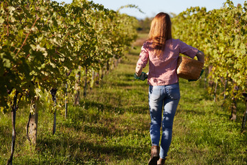 Beautiful young blonde woman walking outdoors in vineyard