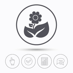 Fototapeta premium Flower icon. Florist plant with leaf sign.