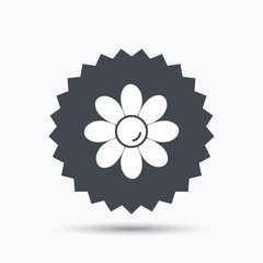 Flower icon. Florist plant with petals sign.