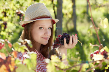 Young happy woman holding a glass of wine in the grape fields