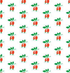 Rosehip seamless pattern. Briar symbols on white background.