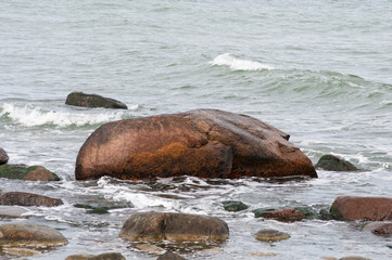 Ostseeküste. RügenBaltische Einsamkeit