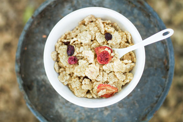 Cereales frescos y naturales con frutos rojos dentro de un cuenco blanco. Vista superior