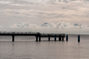 Fototapeta na wymiar Ostseeküste. RügenBaltische Einsamkeit