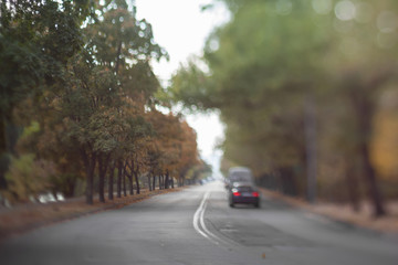 Mysterious blurry road. Natural optical tilt shift photo.