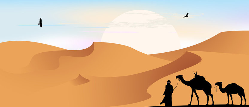 Camels, caravan in the desert, vector illustration