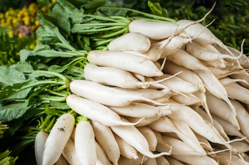 Organic local daikon radish vegetables for sale at outdoor asian marketplace