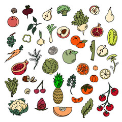 Set colors elements vegetables and fruits. Vegetarian food