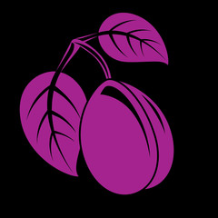 Single purple simple vector plum with leaves, ripe sweet fruit i