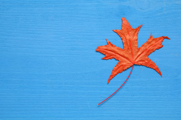 Autumn background with dry leaves on wooden table