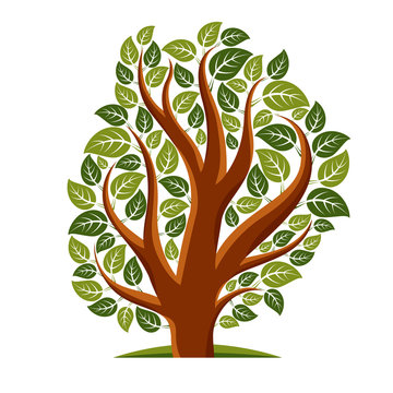 Art vector illustration of tree with green leaves, spring season