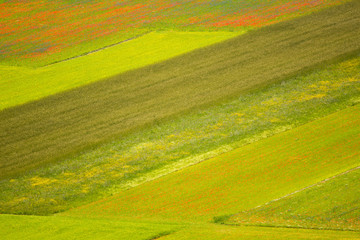 Obraz premium Castelluccio di Norcia