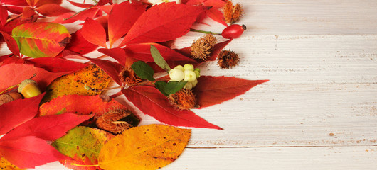 Naklejka na ściany i meble Bunte Herbstblätter mit Herbstfrüchten auf weißen Holzbrettern 