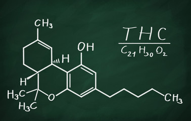 Structural model of THC molecule on the blackboard.